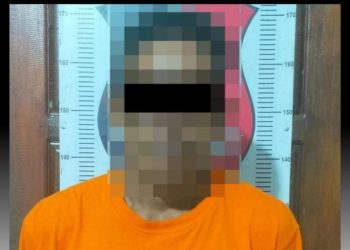 Curi 80 Tandan Kelapa Sawit di PT. AKG Sungsang, DPO Pelaku Curat Dibekuk Polisi Blambangan Umpu