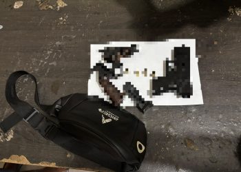 Satreskrim Polres Pesisir Barat Berhasil Amankan Pemilik Dua Pucuk Senjata Api Rakitan