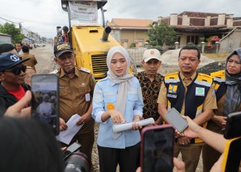 Wagub Jihan Nurlela Tinjau Perbaikan Ruas Jalan Pringsewu–Pardasuka, Pastikan Akses Transportasi Tetap Aman Dan Lancar