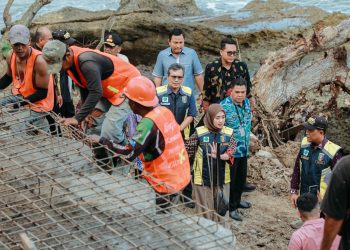 Pastikan Kelancaran Akses Jalan Akibat Longsor, Wagub Jihan Nurlela Tinjau Progres Perbaikan Ruas Jalan Provinsi Simpang Umbar–Putih Doh Di Tanggamus