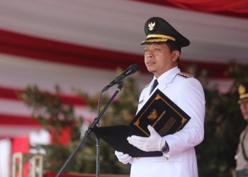 Peringatan HUT ke-17 Kabupaten Pringsewu, Momentum Penguatan SDM dan Kemandirian Ekonomi Lokal