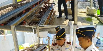 Panen Telur Ayam dan Tebar Benih Ikan Lele, Plh Kakanwil Ditjenpas Tinjau Program Pembinaan Lapas Way Kanan