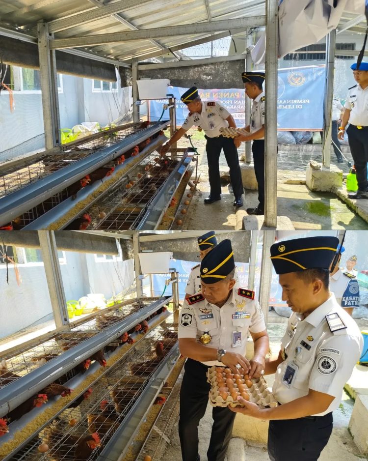 Panen Telur Ayam dan Tebar Benih Ikan Lele, Plh Kakanwil Ditjenpas Tinjau Program Pembinaan Lapas Way Kanan