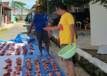 Mushola An-Nashr Perumahan Bumi Waras Pringsewu Potong Hewan Qurban