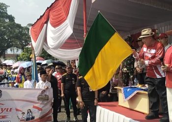 Bupati Saleh Asnawi Lepas Karnaval Budaya HUT ke-81 RI di Kota Agung