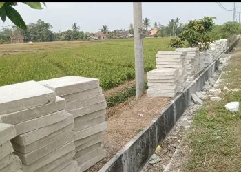 Kualitas Con Block dan Ketiadaan Papan Informasi dalam Pelaksanaan P3A Bumi Ratu