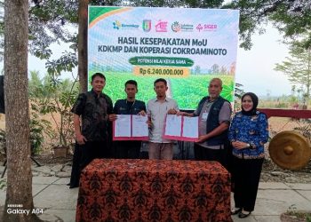 Fasilitasi Penguatan Jaringan Usaha KDKMP Komoditas Singkong Di Pringsewu Resmi Ditutup