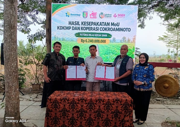 Fasilitasi Penguatan Jaringan Usaha KDKMP Komoditas Singkong Di Pringsewu Resmi Ditutup